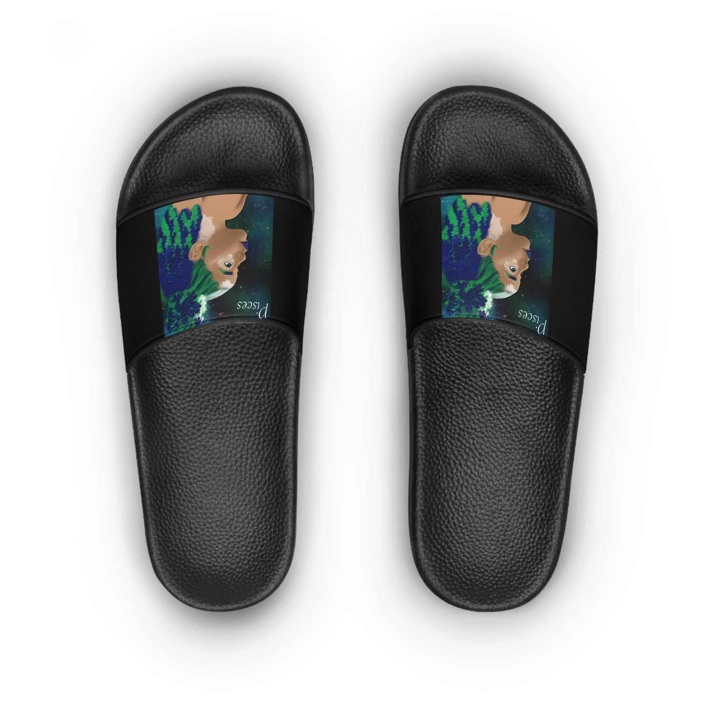 Pisces Slides
