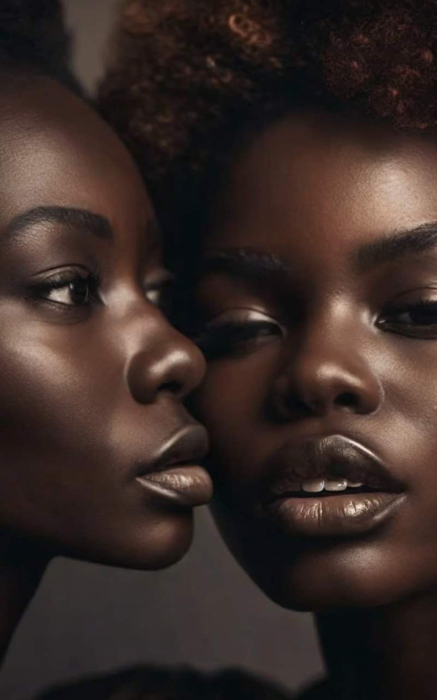 Lesbian Intentions E-book